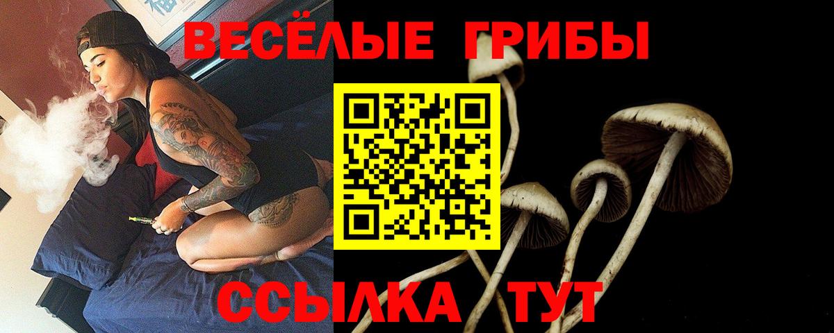 Нижний Тагил  Псилоцибиновые грибы Psilocybe  Вход с VPN 